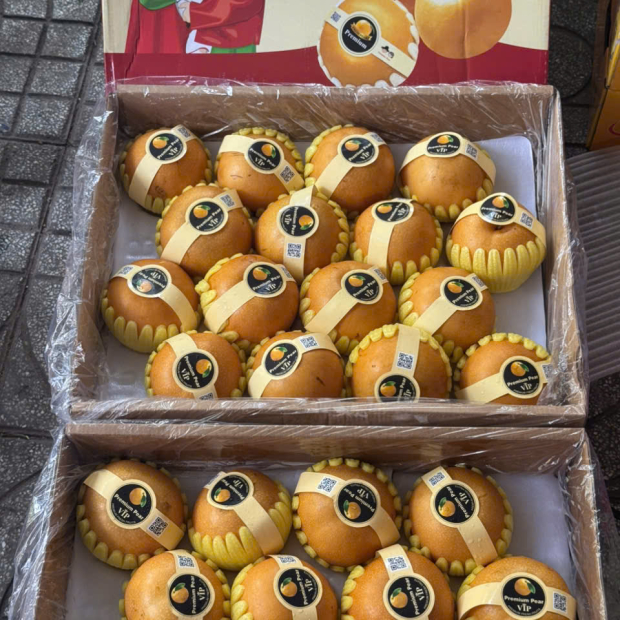 Lê Hàn nâu