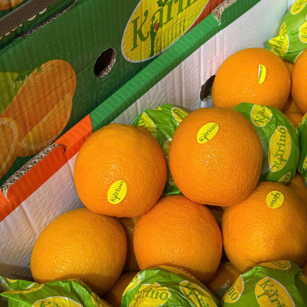 Cam Ai Cập 15kg
