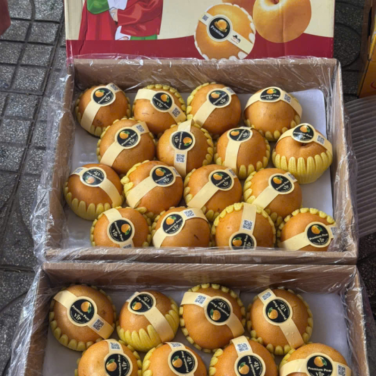Lê Hàn nâu