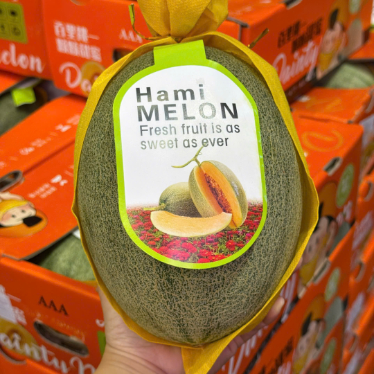 Dưa lưới Hami siêu ngọt giá hấp dẫn